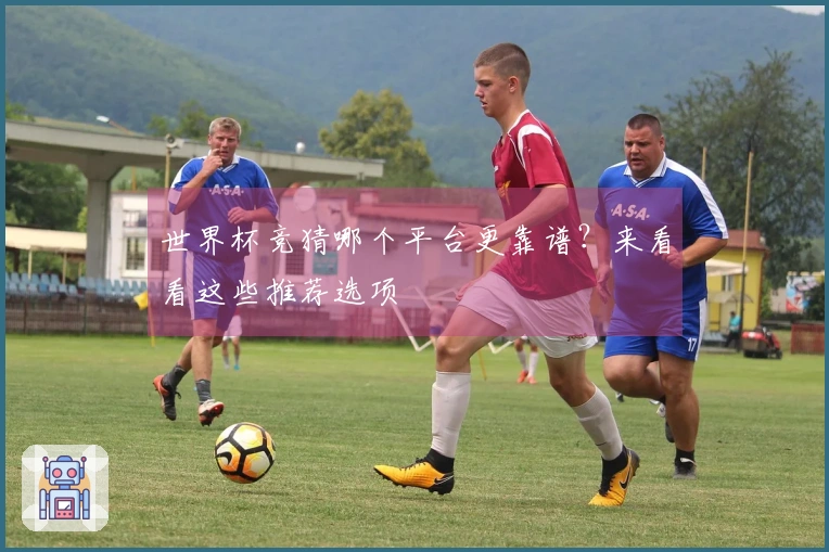 世界杯竞猜哪个平台更靠谱？来看看这些推荐选项