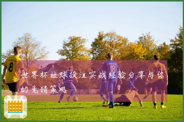 世界杯让球投注实战经验分享与你的竞猜策略