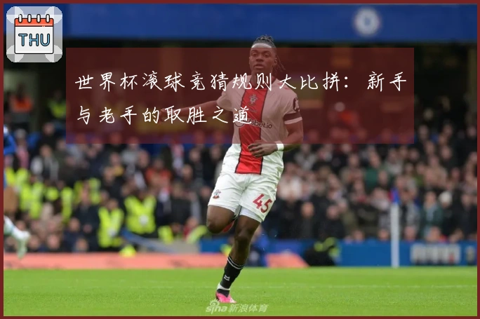 世界杯滚球竞猜规则大比拼：新手与老手的取胜之道