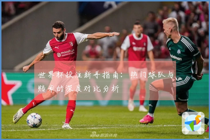 世界杯投注新手指南：热门球队与赔率的深度对比分析
