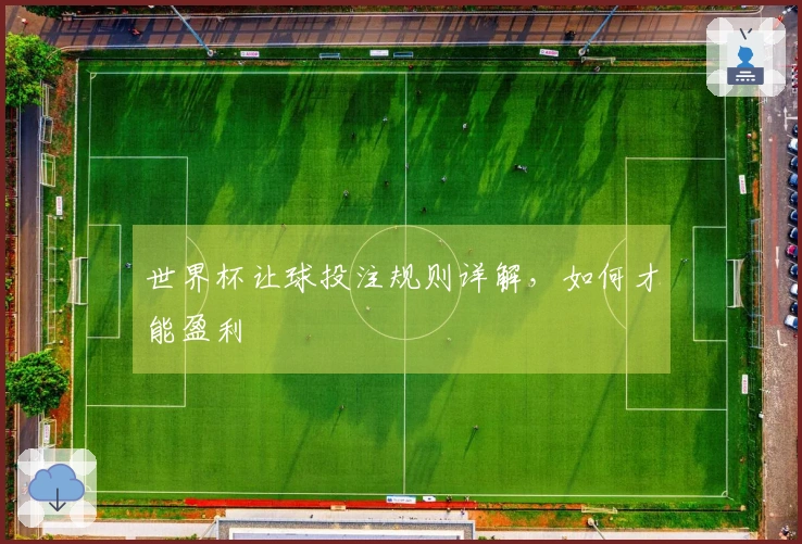 世界杯让球投注规则详解，如何才能盈利
