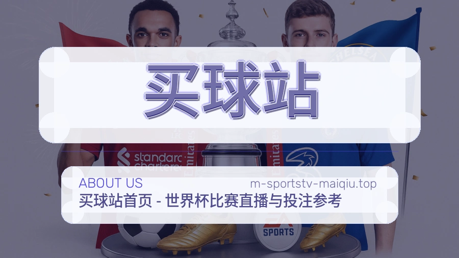 关于 买球站 团队与服务